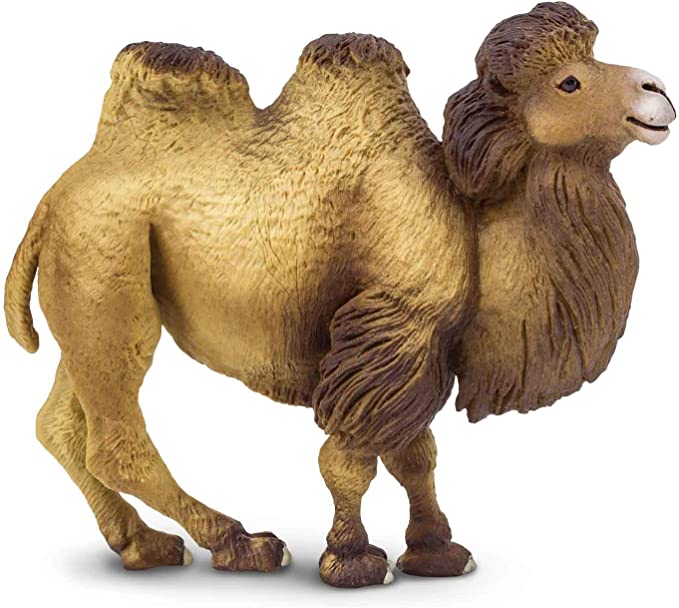 Safari Ltd  Wild Wildlife  Bactrian Camel Realistic Hand Painted Toy Figure Figure Ages 3 and Up