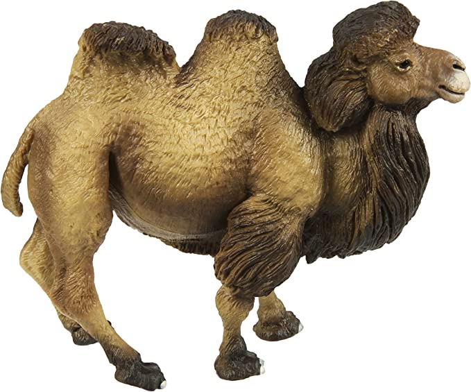 Safari Ltd  Wild Wildlife  Bactrian Camel Realistic Hand Painted Toy Figure Figure Ages 3 and Up